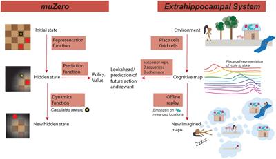 Artificial intelligence insights into hippocampal processing